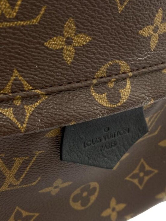 Louis Vuitton Monogram Palm Spring Backpack MM main image 4